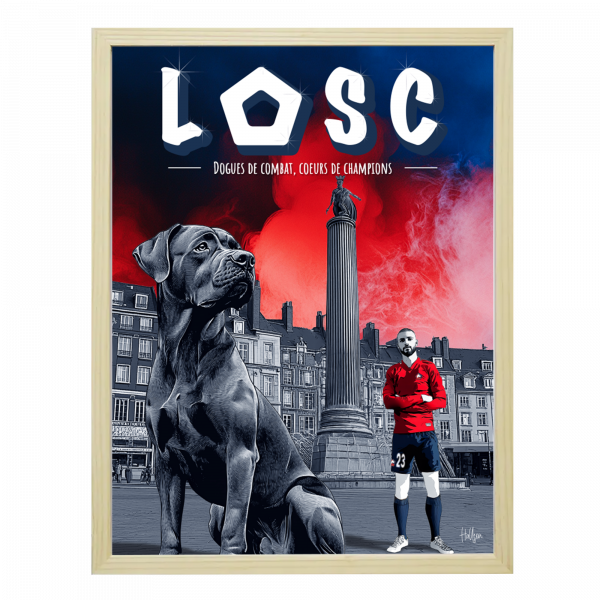 Affiche Lille - Zhegrova
